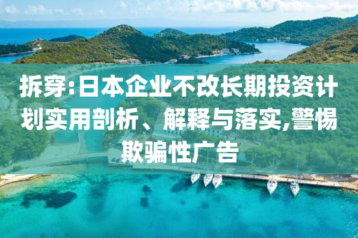 拆穿:日本企業(yè)不改長期投資計(jì)劃實(shí)用剖析、解釋與落實(shí),警惕欺騙性廣告
