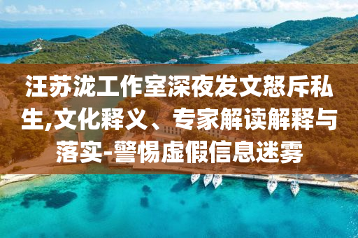 汪蘇瀧工作室深夜發(fā)文怒斥私生,文化釋義、專家解讀解釋與落實(shí)-警惕虛假信息迷霧