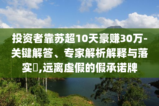投資者靠蘇超10天豪賺30萬-關(guān)鍵解答、專家解析解釋與落實(shí)?,遠(yuǎn)離虛假的假承諾牌
