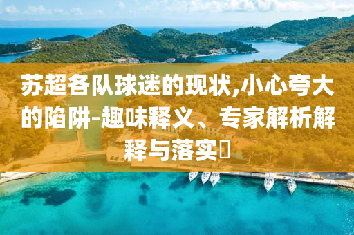 蘇超各隊(duì)球迷的現(xiàn)狀,小心夸大的陷阱-趣味釋義、專家解析解釋與落實(shí)?