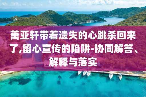 蕭亞軒帶著遺失的心跳殺回來(lái)了,留心宣傳的陷阱-協(xié)同解答、解釋與落實(shí)