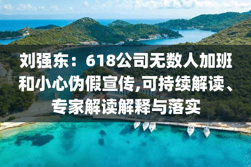 劉強(qiáng)東：618公司無數(shù)人加班和小心偽假宣傳,可持續(xù)解讀、專家解讀解釋與落實(shí)