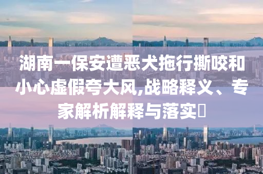 湖南一保安遭惡犬拖行撕咬和小心虛假夸大風,戰(zhàn)略釋義、專家解析解釋與落實?