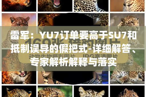 雷軍：YU7訂單要高于SU7和抵制誤導(dǎo)的假把式-詳細(xì)解答、專家解析解釋與落實