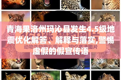 青海果洛州瑪沁縣發(fā)生4.5級地震優(yōu)化解答、解釋與落實,警惕虛假的假宣傳語