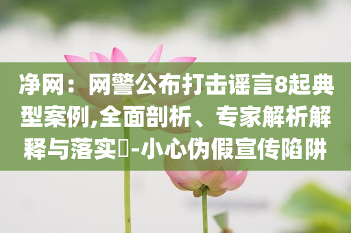 凈網：網警公布打擊謠言8起典型案例,全面剖析、專家解析解釋與落實?-小心偽假宣傳陷阱