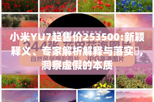 小米YU7起售價253500:新穎釋義、專家解析解釋與落實?,洞察虛假的本質(zhì)