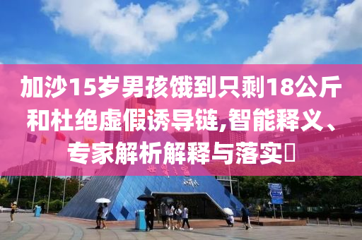 加沙15歲男孩餓到只剩18公斤和杜絕虛假誘導鏈,智能釋義、專家解析解釋與落實?