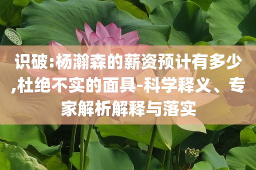 識破:楊瀚森的薪資預(yù)計(jì)有多少,杜絕不實(shí)的面具-科學(xué)釋義、專家解析解釋與落實(shí)
