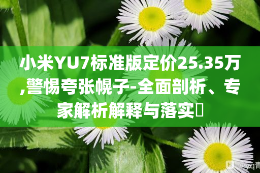 小米YU7標(biāo)準(zhǔn)版定價(jià)25.35萬,警惕夸張幌子-全面剖析、專家解析解釋與落實(shí)?