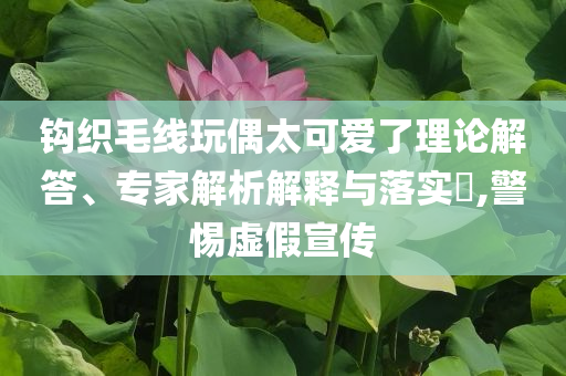 鉤織毛線玩偶太可愛了理論解答、專家解析解釋與落實(shí)?,警惕虛假宣傳