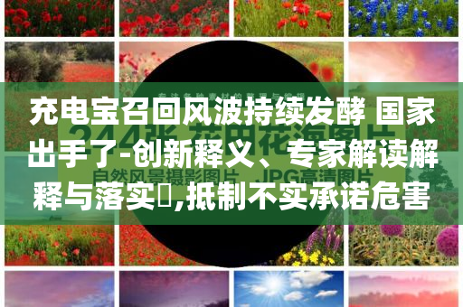 充電寶召回風(fēng)波持續(xù)發(fā)酵 國家出手了-創(chuàng)新釋義、專家解讀解釋與落實(shí)?,抵制不實(shí)承諾危害