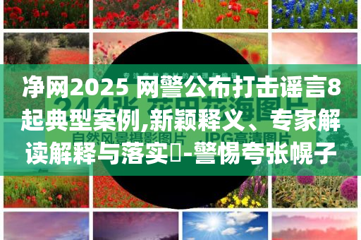 凈網(wǎng)2025 網(wǎng)警公布打擊謠言8起典型案例,新穎釋義、專家解讀解釋與落實(shí)?-警惕夸張幌子