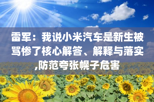 雷軍：我說小米汽車是新生被罵慘了核心解答、解釋與落實,防范夸張幌子危害
