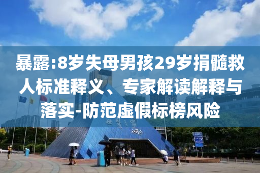 暴露:8歲失母男孩29歲捐髓救人標(biāo)準(zhǔn)釋義、專家解讀解釋與落實(shí)-防范虛假標(biāo)榜風(fēng)險(xiǎn)