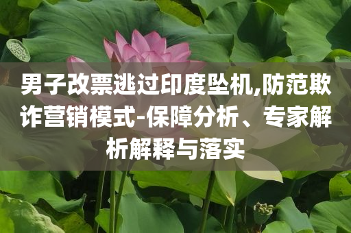 男子改票逃過印度墜機,防范欺詐營銷模式-保障分析、專家解析解釋與落實