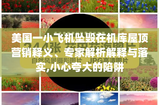 美國一小飛機(jī)墜毀在機(jī)庫屋頂營銷釋義、專家解析解釋與落實(shí),小心夸大的陷阱