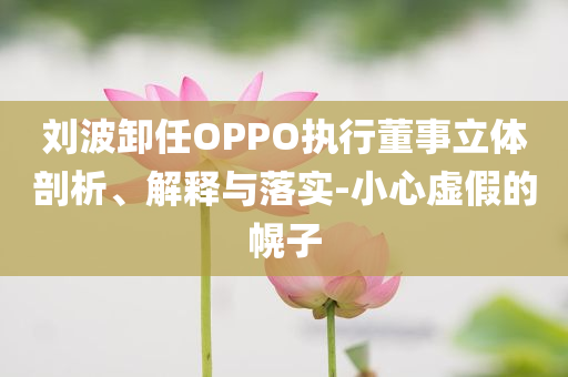 劉波卸任OPPO執(zhí)行董事立體剖析、解釋與落實(shí)-小心虛假的幌子