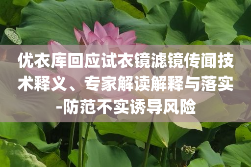 優(yōu)衣庫(kù)回應(yīng)試衣鏡濾鏡傳聞技術(shù)釋義、專(zhuān)家解讀解釋與落實(shí)-防范不實(shí)誘導(dǎo)風(fēng)險(xiǎn)
