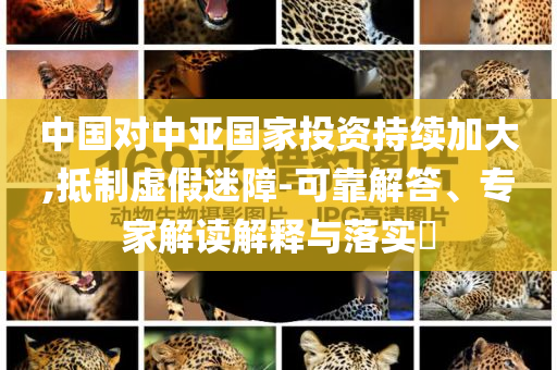 中國(guó)對(duì)中亞國(guó)家投資持續(xù)加大,抵制虛假迷障-可靠解答、專(zhuān)家解讀解釋與落實(shí)?