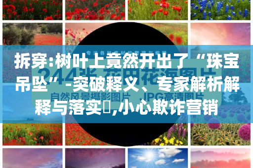 拆穿:樹葉上竟然開出了“珠寶吊墜”-突破釋義、專家解析解釋與落實?,小心欺詐營銷