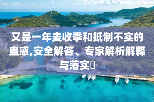 又是一年麥收季和抵制不實的蠱惑,安全解答、專家解析解釋與落實?