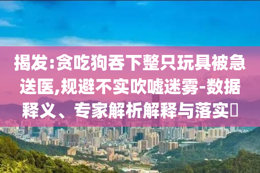 揭發(fā):貪吃狗吞下整只玩具被急送醫(yī),規(guī)避不實(shí)吹噓迷霧-數(shù)據(jù)釋義、專家解析解釋與落實(shí)?