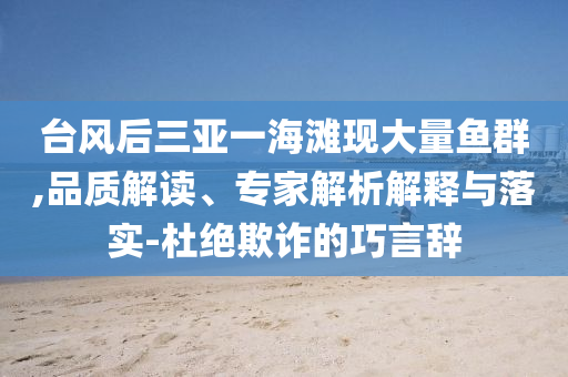 臺風后三亞一海灘現(xiàn)大量魚群,品質(zhì)解讀、專家解析解釋與落實-杜絕欺詐的巧言辭