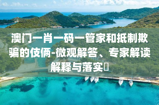 澳門一肖一碼一管家和抵制欺騙的伎倆-微觀解答、專家解讀解釋與落實?