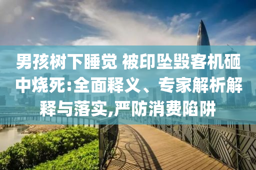 男孩樹(shù)下睡覺(jué) 被印墜毀客機(jī)砸中燒死:全面釋義、專(zhuān)家解析解釋與落實(shí),嚴(yán)防消費(fèi)陷阱