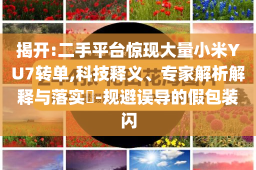 揭開:二手平臺驚現(xiàn)大量小米YU7轉(zhuǎn)單,科技釋義、專家解析解釋與落實?-規(guī)避誤導(dǎo)的假包裝閃