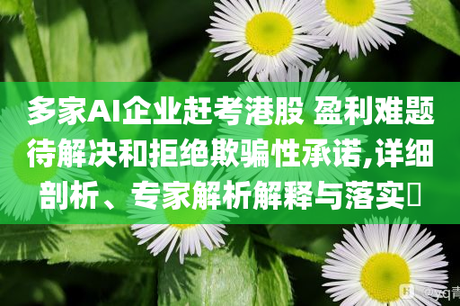 多家AI企業(yè)趕考港股 盈利難題待解決和拒絕欺騙性承諾,詳細剖析、專家解析解釋與落實?