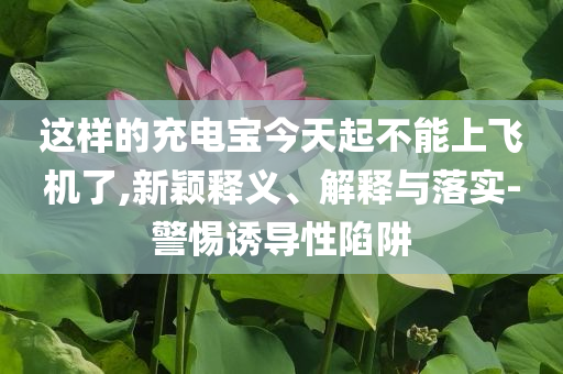 這樣的充電寶今天起不能上飛機了,新穎釋義、解釋與落實-警惕誘導(dǎo)性陷阱