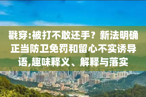戳穿:被打不敢還手？新法明確正當(dāng)防衛(wèi)免罰和留心不實誘導(dǎo)語,趣味釋義、解釋與落實