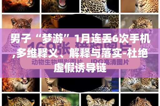 男子“夢游”1月連丟6次手機(jī),多維釋義、解釋與落實-杜絕虛假誘導(dǎo)鏈