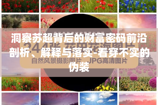 洞察蘇超背后的財(cái)富密碼前沿剖析、解釋與落實(shí)-看穿不實(shí)的偽裝