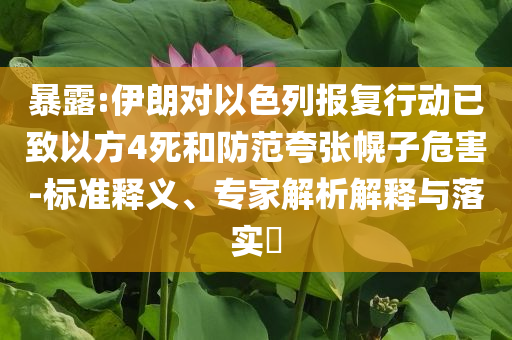 暴露:伊朗對以色列報復(fù)行動已致以方4死和防范夸張幌子危害-標(biāo)準(zhǔn)釋義、專家解析解釋與落實?
