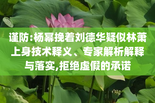 謹(jǐn)防:楊冪挽著劉德華疑似林蕭上身技術(shù)釋義、專家解析解釋與落實,拒絕虛假的承諾