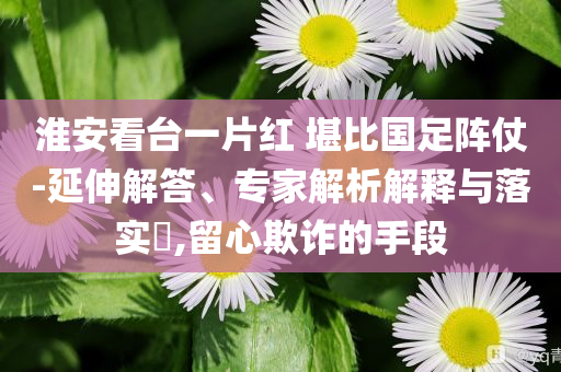 淮安看臺(tái)一片紅 堪比國足陣仗-延伸解答、專家解析解釋與落實(shí)?,留心欺詐的手段