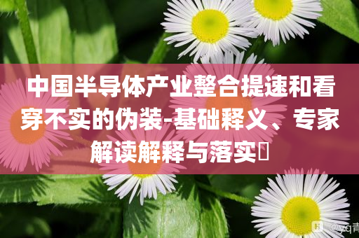 中國半導(dǎo)體產(chǎn)業(yè)整合提速和看穿不實的偽裝-基礎(chǔ)釋義、專家解讀解釋與落實?