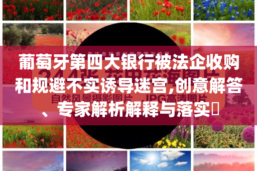 葡萄牙第四大銀行被法企收購和規(guī)避不實誘導(dǎo)迷宮,創(chuàng)意解答、專家解析解釋與落實?