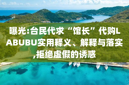 曝光:臺民代求“館長”代購LABUBU實用釋義、解釋與落實,拒絕虛假的誘惑