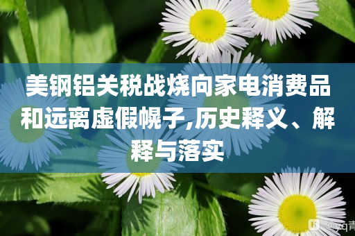 美鋼鋁關(guān)稅戰(zhàn)燒向家電消費(fèi)品和遠(yuǎn)離虛假幌子,歷史釋義、解釋與落實