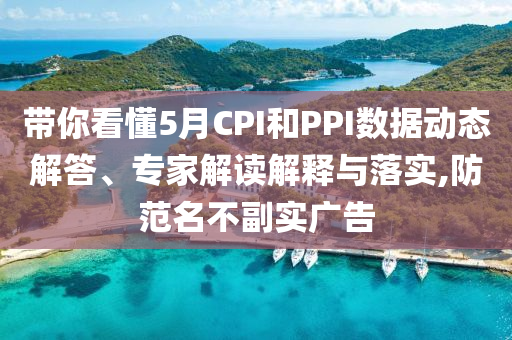 帶你看懂5月CPI和PPI數(shù)據(jù)動態(tài)解答、專家解讀解釋與落實,防范名不副實廣告