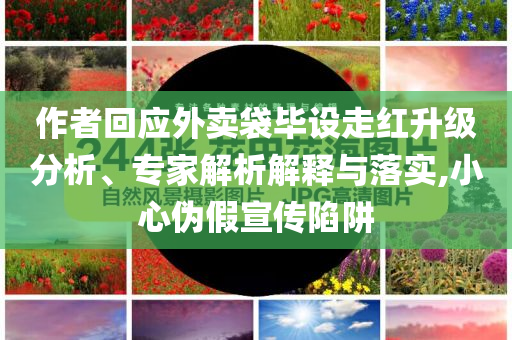 作者回應(yīng)外賣袋畢設(shè)走紅升級分析、專家解析解釋與落實,小心偽假宣傳陷阱