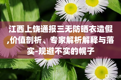 江西上饒通報三無防曬衣造假,價值剖析、專家解析解釋與落實-規(guī)避不實的幌子