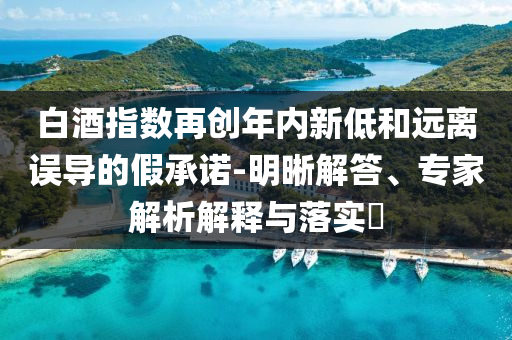 白酒指數(shù)再創(chuàng)年內(nèi)新低和遠(yuǎn)離誤導(dǎo)的假承諾-明晰解答、專家解析解釋與落實?