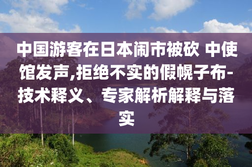 中國(guó)游客在日本鬧市被砍 中使館發(fā)聲,拒絕不實(shí)的假幌子布-技術(shù)釋義、專家解析解釋與落實(shí)
