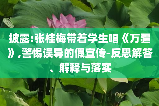 披露:張桂梅帶著學(xué)生唱《萬疆》,警惕誤導(dǎo)的假宣傳-反思解答、解釋與落實