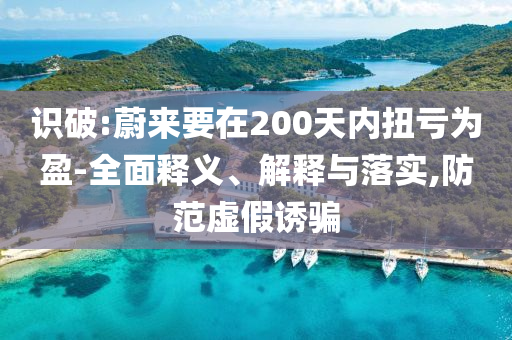 識破:蔚來要在200天內(nèi)扭虧為盈-全面釋義、解釋與落實(shí),防范虛假誘騙